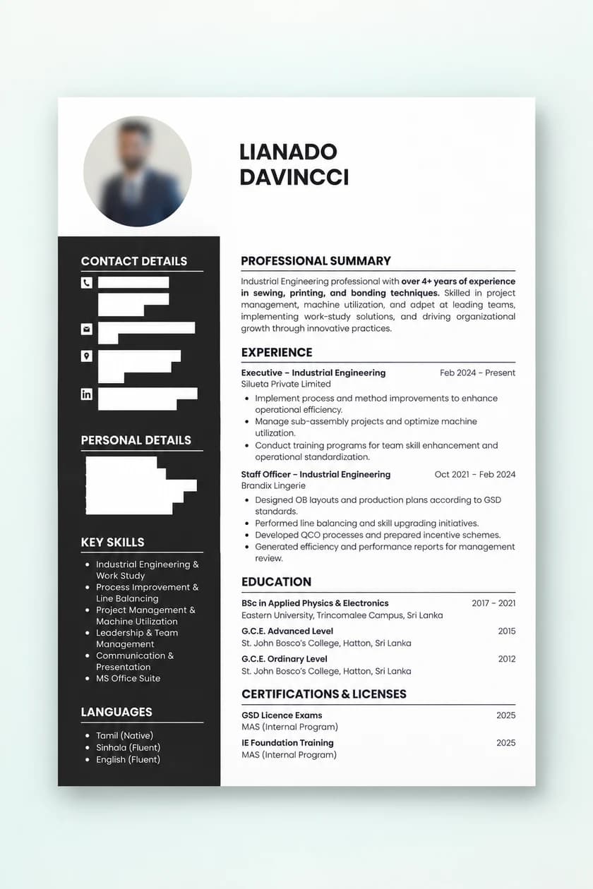 Professional Design CV